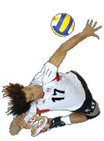 SIM Gratton : Pro Volleyball Agents