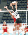Block: Professional Volleyball Agents